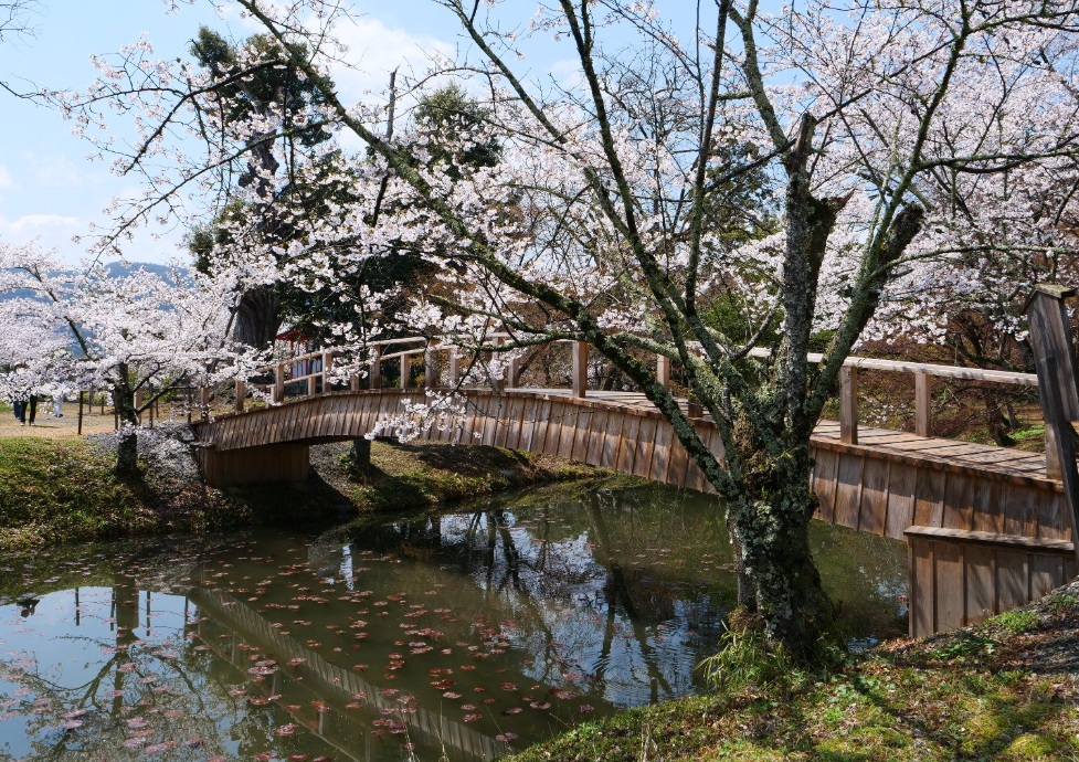 大覚寺　大沢池